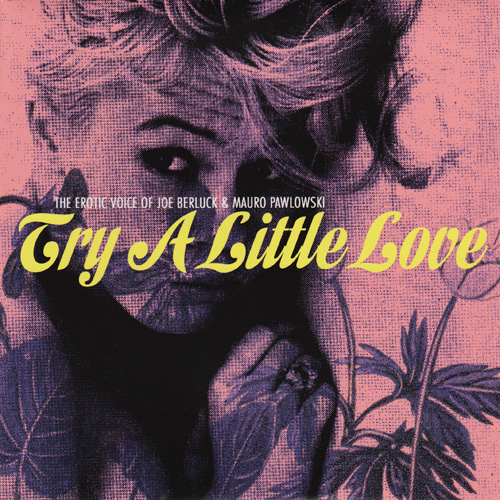 Try A Little Love cover