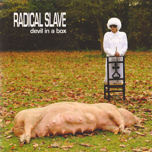 Devil in a box cover